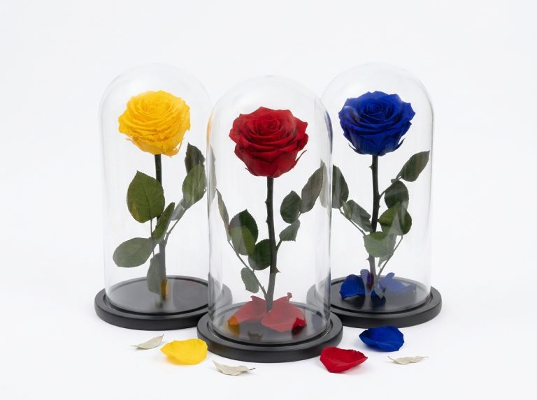 Rosas Eternas